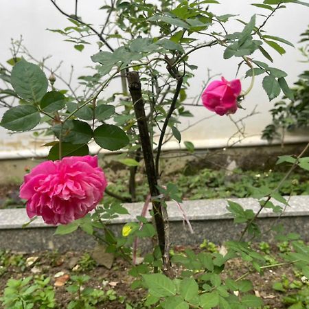 הואה Nhat Long Homestay מראה חיצוני תמונה