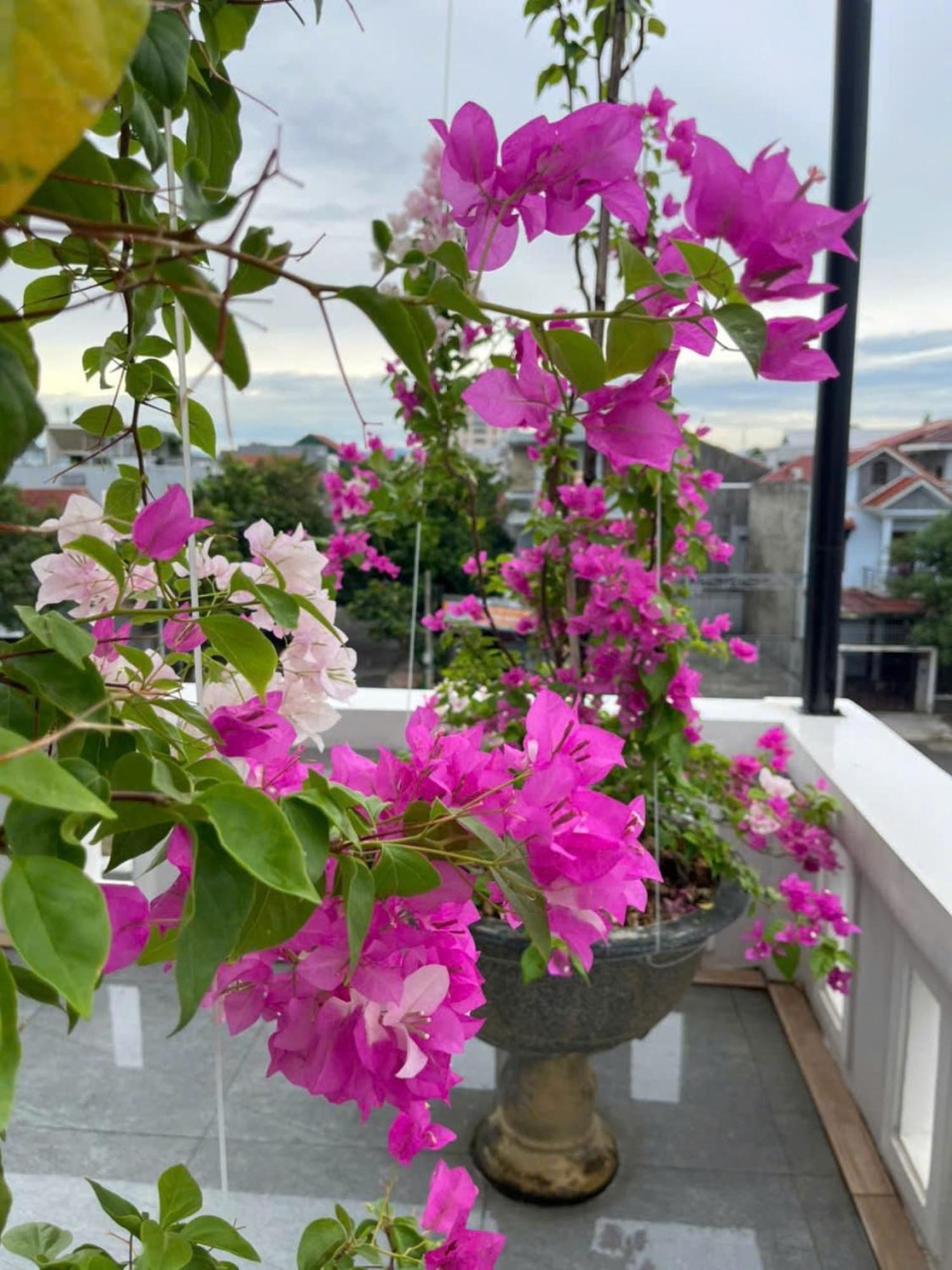 הואה Nhat Long Homestay מראה חיצוני תמונה